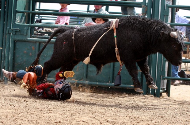 Mini Bull Riding
